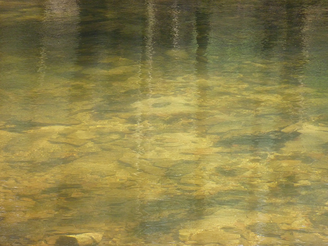 P1000671001.jpg - Find the fish