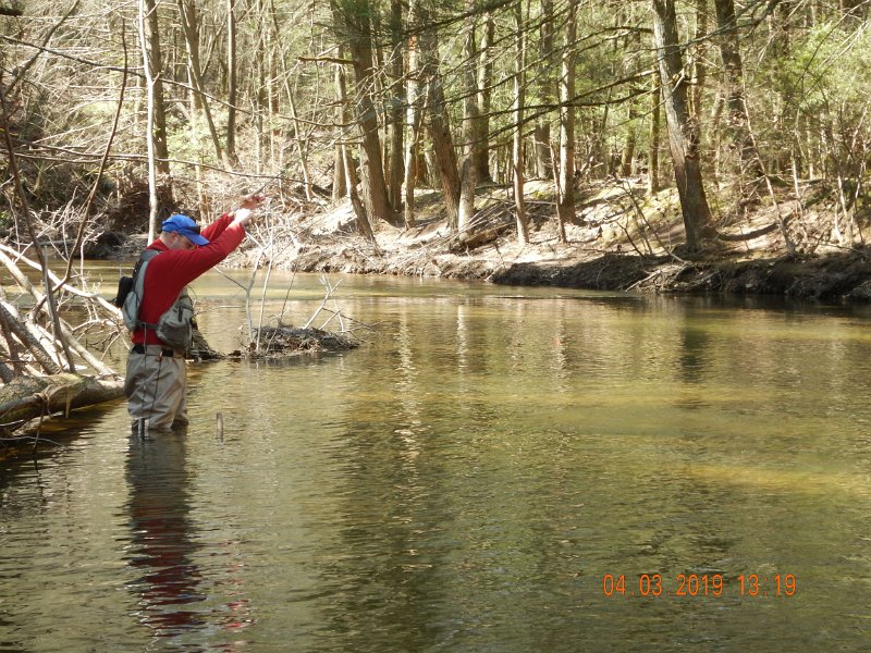$Clarks2019a001$.jpg - Then, Gary hooked into a mule.  This convinced us that the stream had been stocked.  Nothing like this grows in Clark Creek.