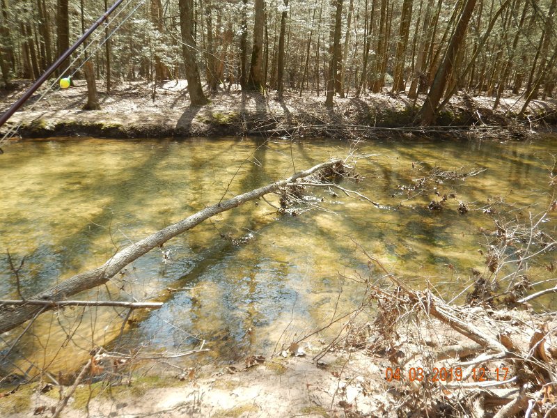 $Clarks2019a012$.jpg - Surface water temp was 47 deg.  Sub surface probably about 42 degrees.  That said, the fish wouldn't really be super active.  Couple midges, a few caddis and a stone or two in the air.  Nothing on the water and we saw no fish rising.