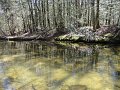 DSC00604