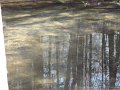 DSC00609