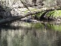DSC00615