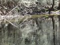 DSC00616