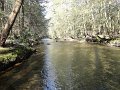 DSC00619