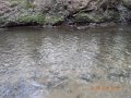DSCN0304
