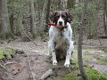DSC00029001