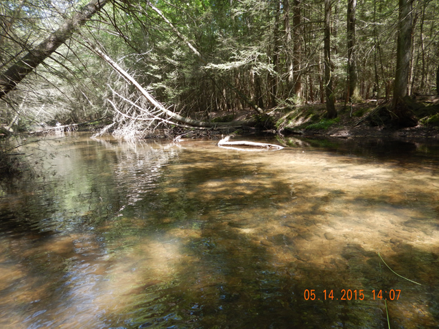 DSCN0318.jpg -                    Cant see it well but theres a fisherman on the left and one above the tree in the middle of the stream.            
