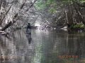 DSCN0309