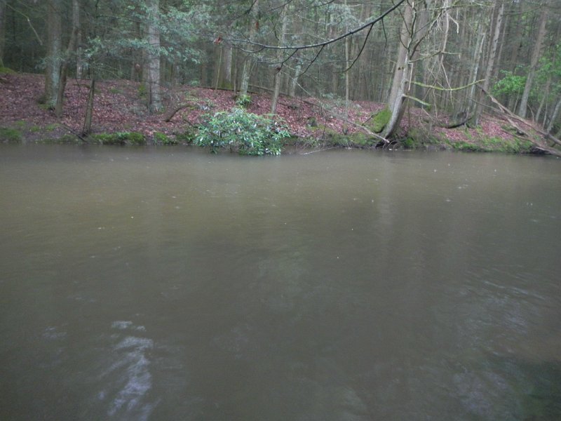 DSCN3139.jpg - We pulled most of the fish from this spot.  Water was discolored too. Stronger than normal flows pushed the fish to the banks.