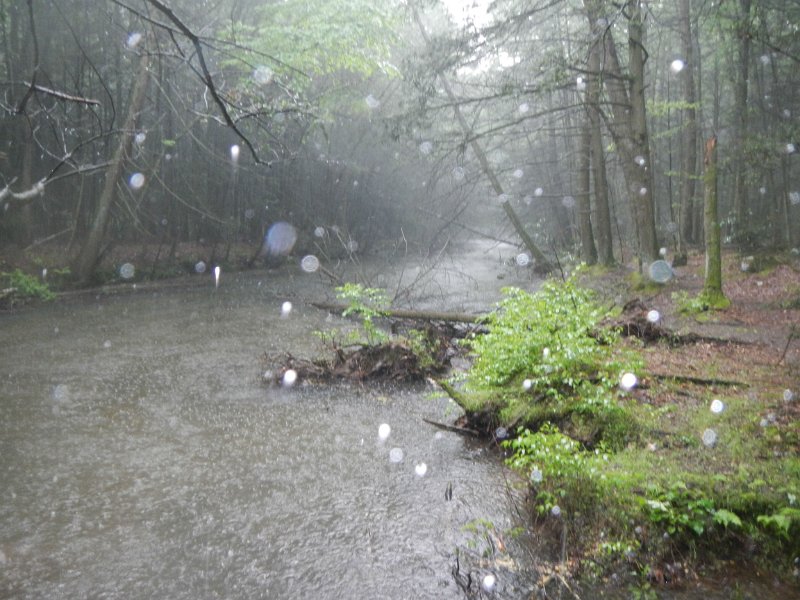DSCN3144.jpg - I think the rain was hitting the water so hard it put the fish down.