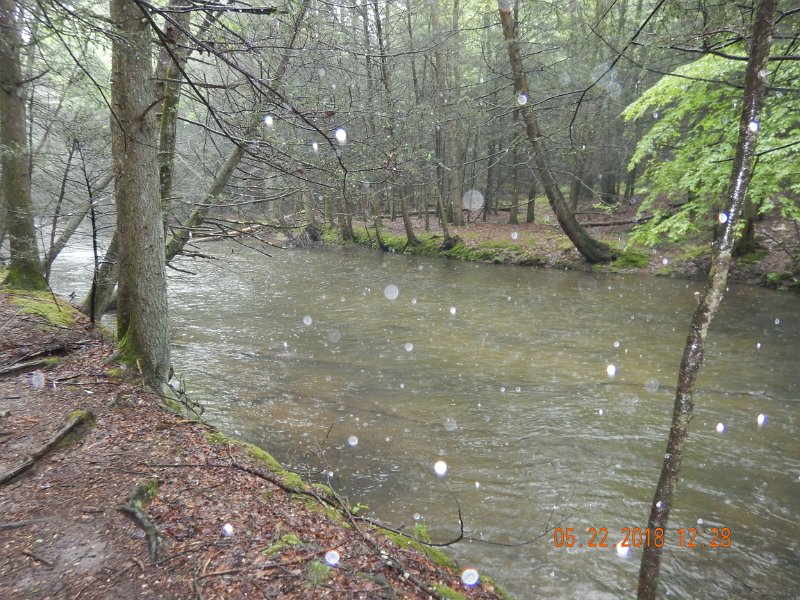 DSCN3216.jpg - Then the rain came