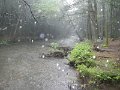 DSCN3144
