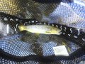 DSC01511