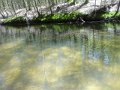 DSC01520
