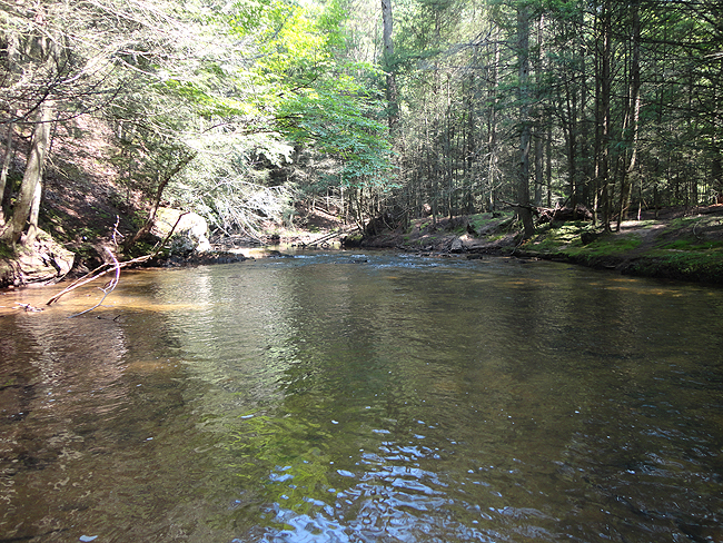 DSC00131001.jpg