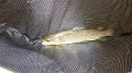 P1000008