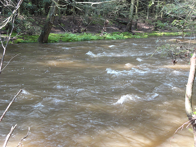 DSC00137001.jpg - White water!!