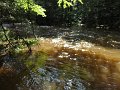 DSC00135001