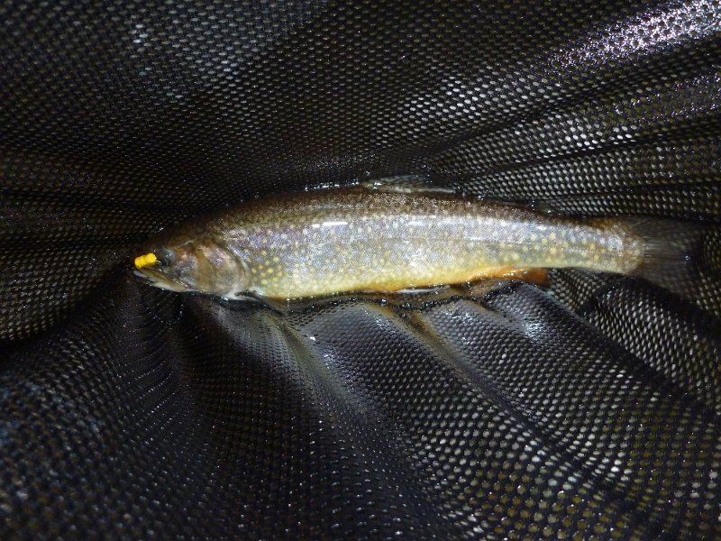 P1000016.JPG