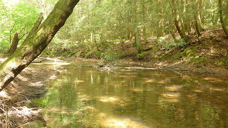 P1000047.JPG