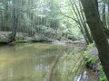 DSC01677