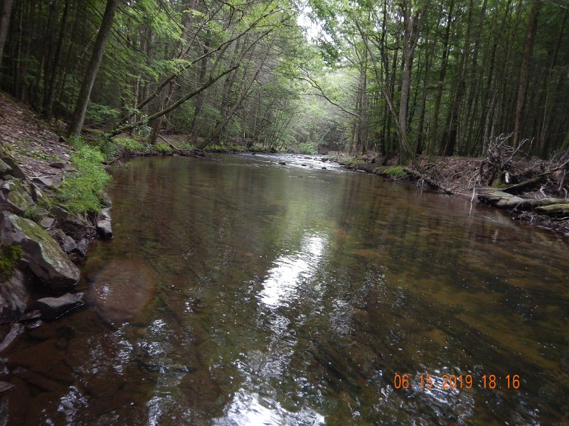 $Clarks3003$.jpg - Fish were raising here....infrequently.  A number of anglers wanted to fish this spot and one nice guy jumped right in when I left.