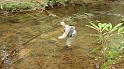 GaryE6-18-09_2