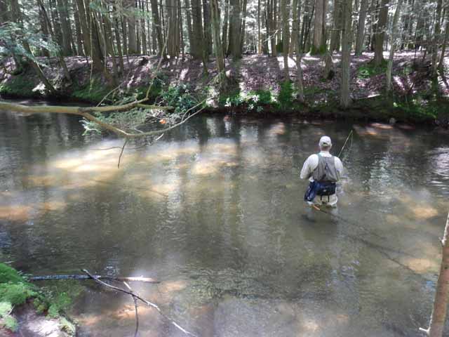 DSCN0123.jpg -                                Ed, working on a part of the stream.