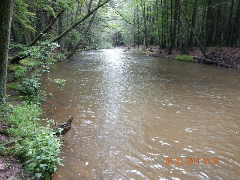 $Clarks4001$.jpg - Stream was high and muddy.  Over a foot higher than it was just three days ago.  I brought a light dry fly rig....poor choice.