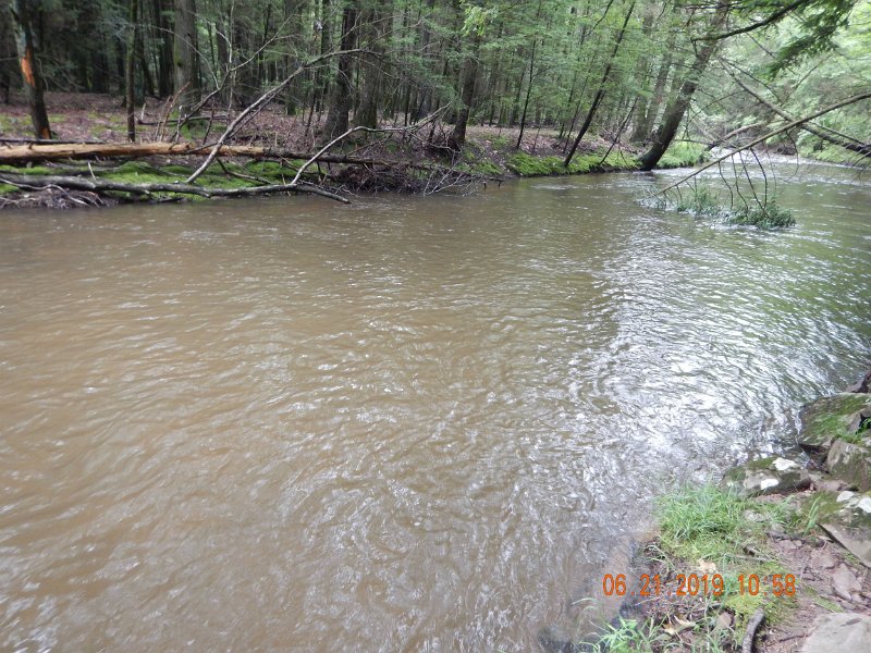 $Clarks4009$.jpg - Three days of off and on thunderstorms really reaked havoc on this stream.