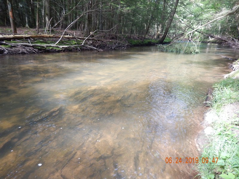 DSCN4372.JPG - This part of the stream was in better condition than it was three days ago.  At least now you can see the bottom.