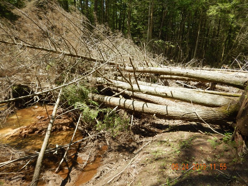 DSCN4379.JPG - Another pic of the blockage.