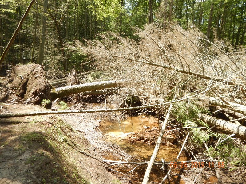 DSCN4380.JPG - It would be a major task to free up this stream but the alternative is probably a ruined stream and less trout habitat.