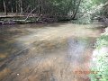 DSCN4372