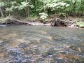DSCN4375