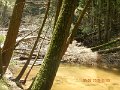 DSCN4378
