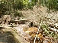 DSCN4380