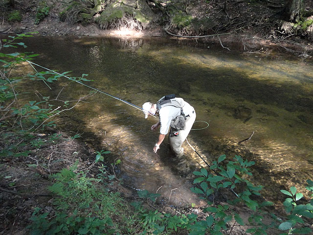 DSC01038.jpg -                                Only got one from my honey hole.