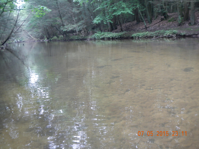 DSCN1548.jpg -                                
