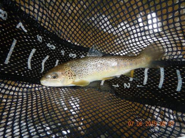 DSCN1549.jpg -                                