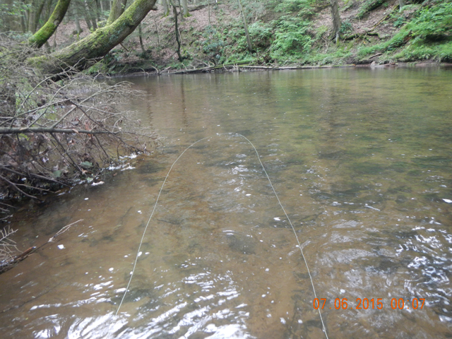 DSCN1550.jpg -                                
