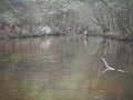 DSCN0526