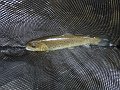 DSC00214001