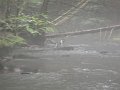 DSC00217001