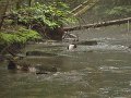 DSC00219001