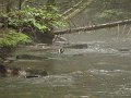 DSC00220001