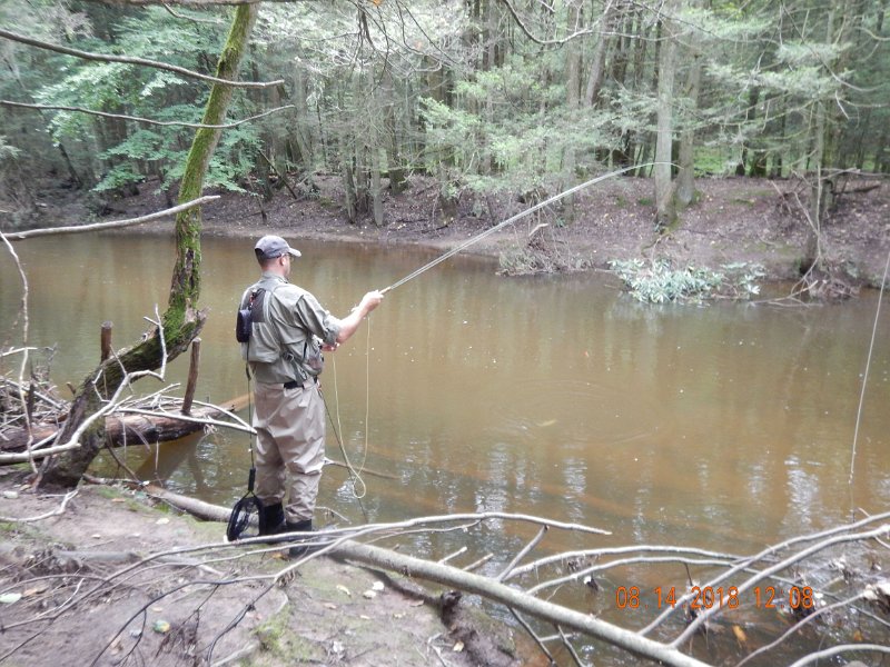 $Clarks Creek-005$.jpg - Gary pulling one in.  Turned out to be a trout but he lost it at the bank.