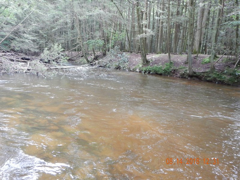 $Clarks Creek-007$.jpg - Water is still a lot higher than normal and a bit off color.  Water temps were around 70 degrees.  Thought they'd be lower with all the rainfall.