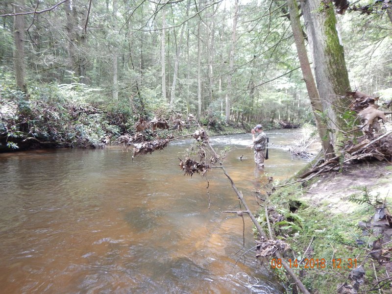 $Clarks Creek-008$.jpg - Gary fishing below me.  Check the debris on the small tree in the foreground. 