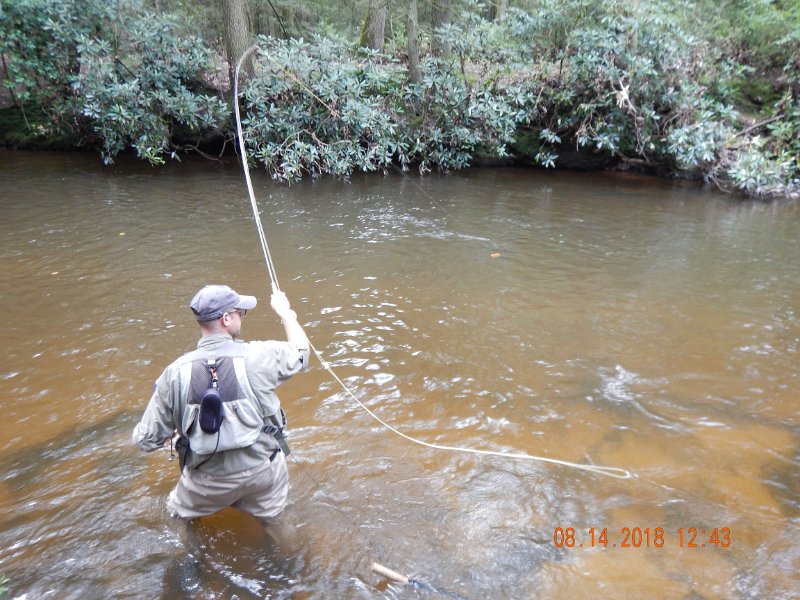 $Clarks Creek-009$.jpg - Gary got another.  Trout are here but you just have to dredge the bottom and work for them.